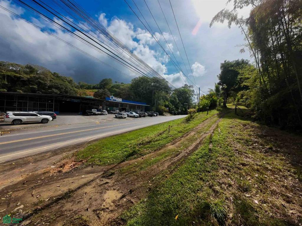 Luxury Development Land , Bahía Ballena, Osa, Puntarenas