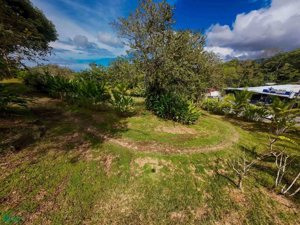 Luxury Development Land , Bahía Ballena, Osa, Puntarenas
