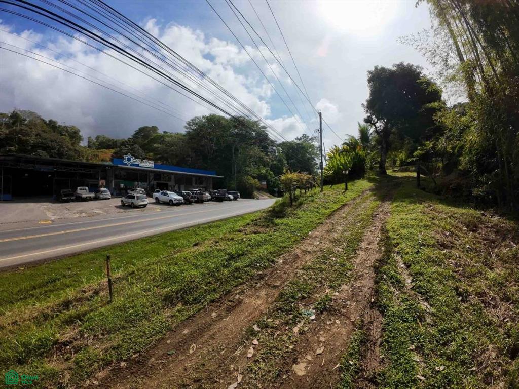 Luxury Development Land , Bahía Ballena, Osa, Puntarenas