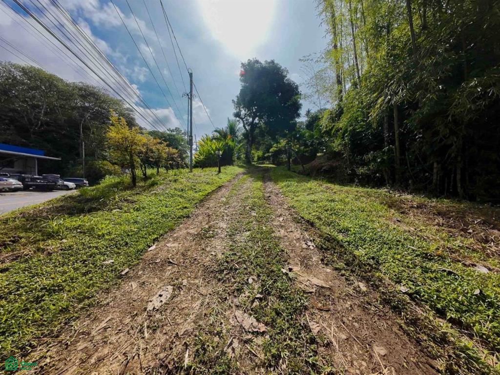 Luxury Development Land , Bahía Ballena, Osa, Puntarenas