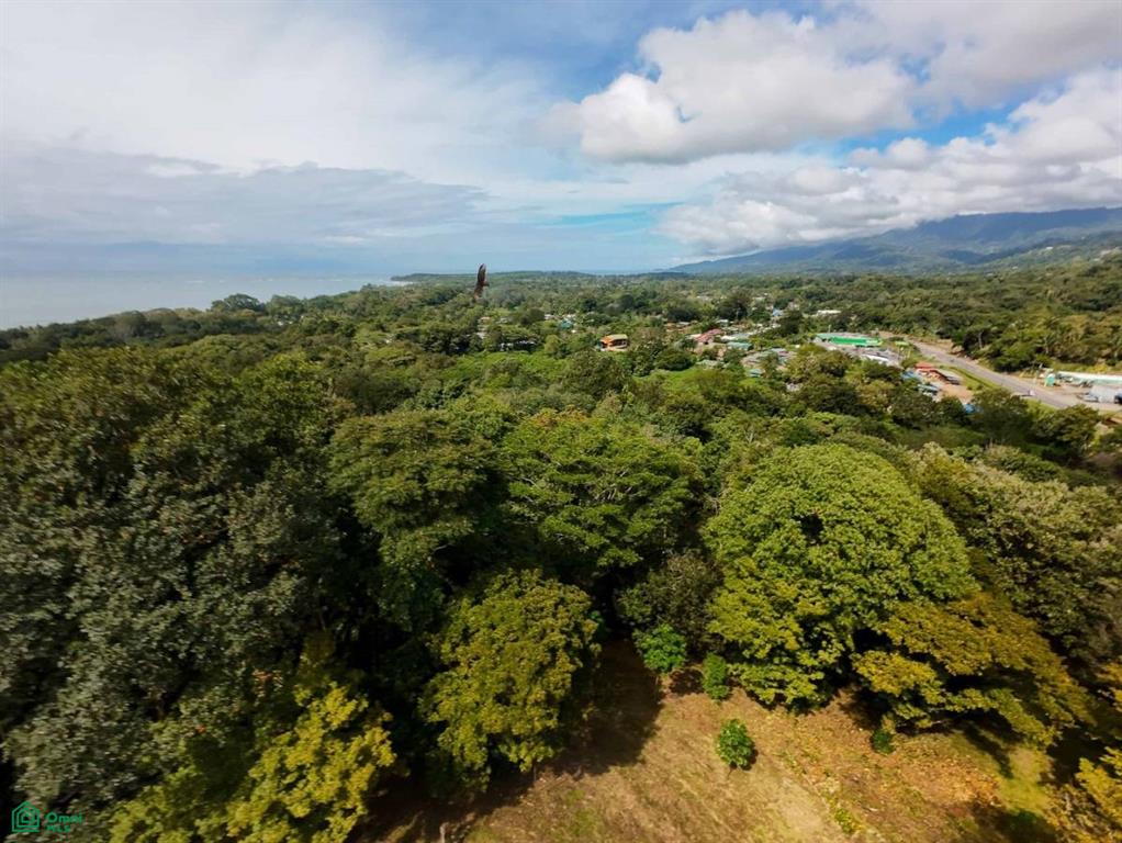 Luxury Development Land , Bahía Ballena, Osa, Puntarenas