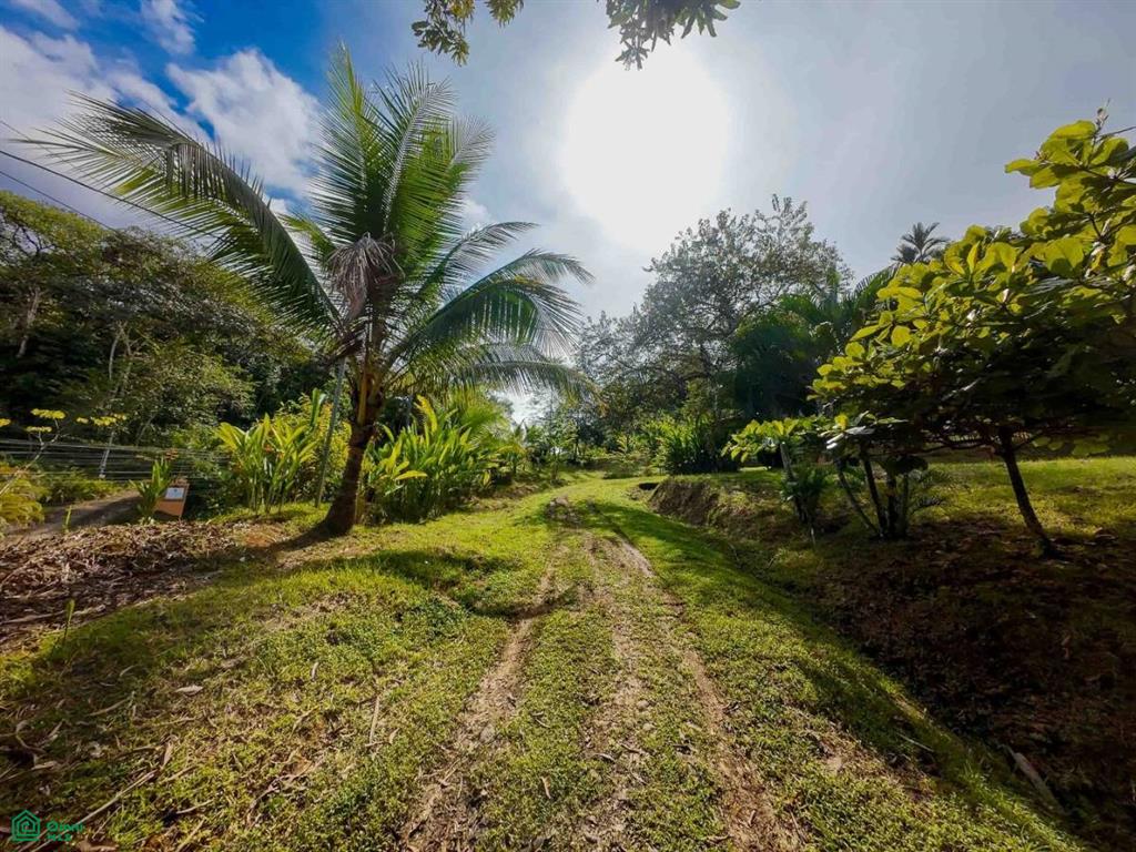 Luxury Development Land , Bahía Ballena, Osa, Puntarenas