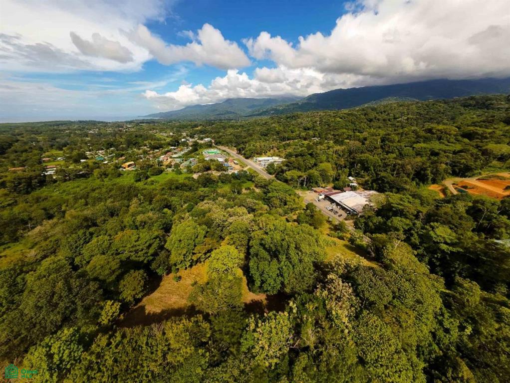 Luxury Development Land , Bahía Ballena, Osa, Puntarenas