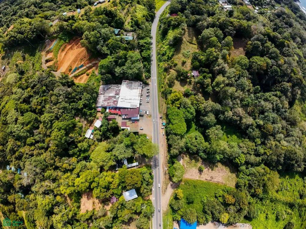 Luxury Development Land , Bahía Ballena, Osa, Puntarenas