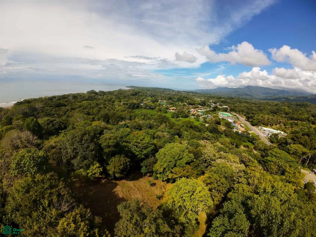 Luxury Development Land , Bahía Ballena, Osa, Puntarenas