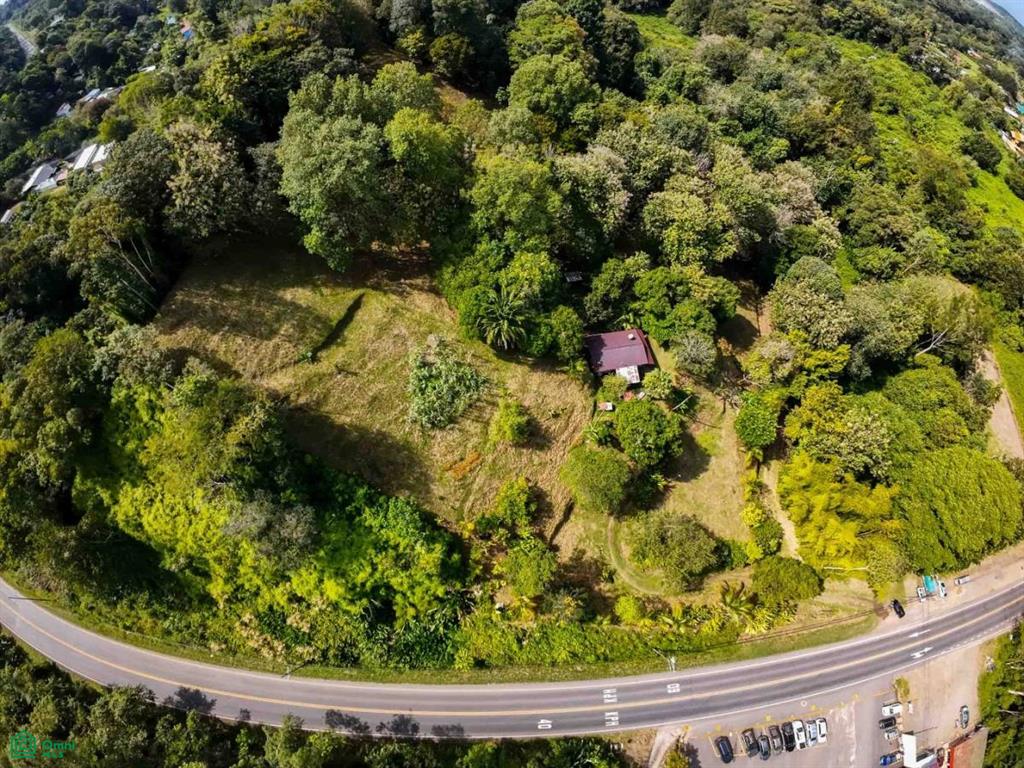 Luxury Development Land , Bahía Ballena, Osa, Puntarenas