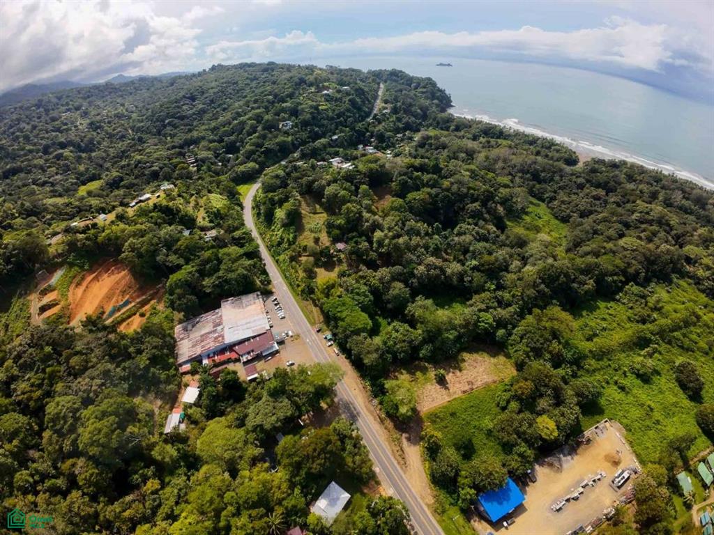 Luxury Development Land , Bahía Ballena, Osa, Puntarenas