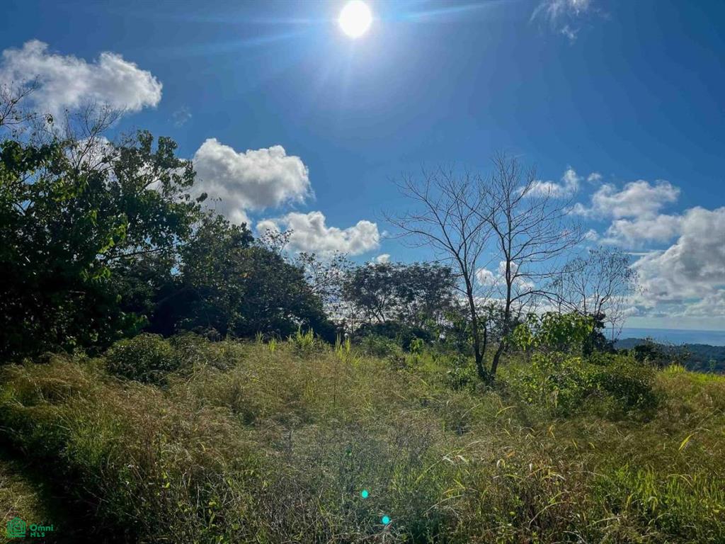 Flat Ocean View Lot , Puerto Cortés, Osa, Puntarenas