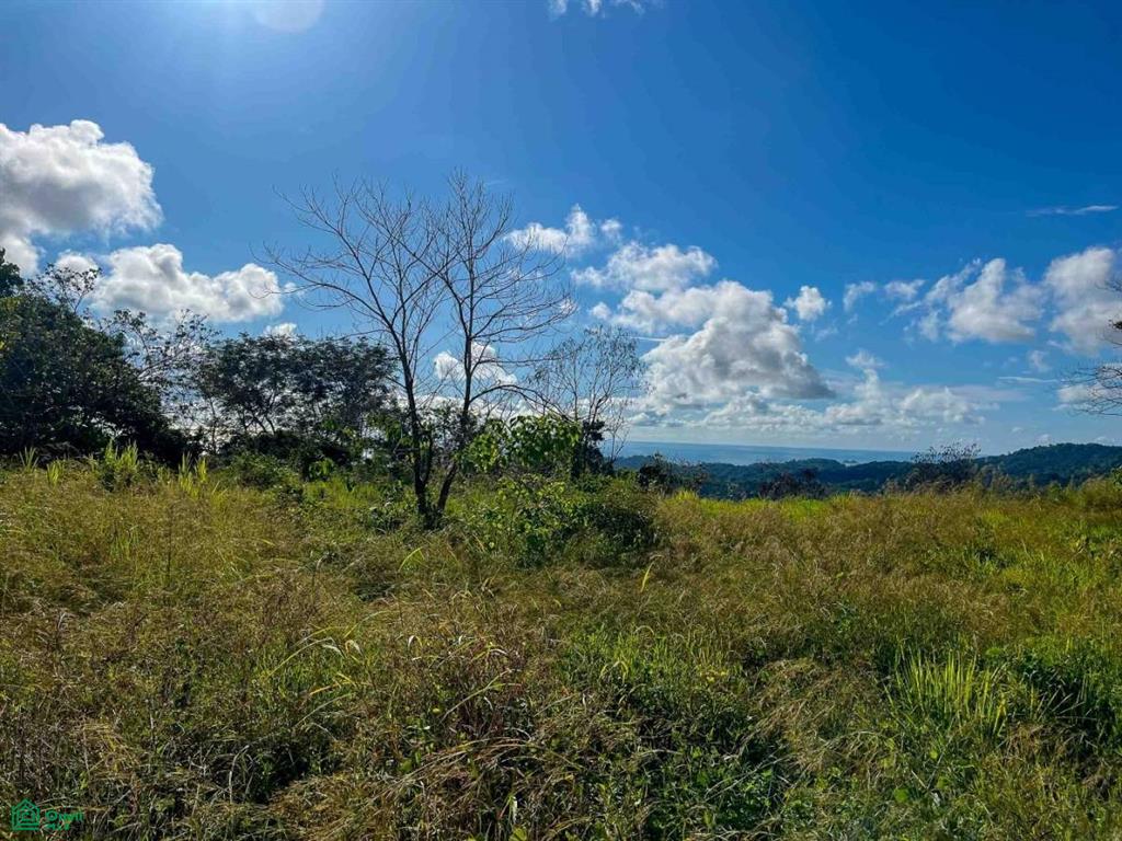 Flat Ocean View Lot , Puerto Cortés, Osa, Puntarenas