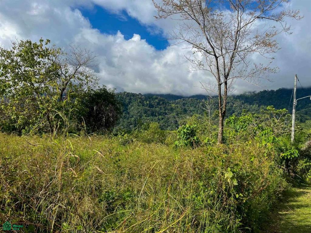 Flat Ocean View Lot , Puerto Cortés, Osa, Puntarenas