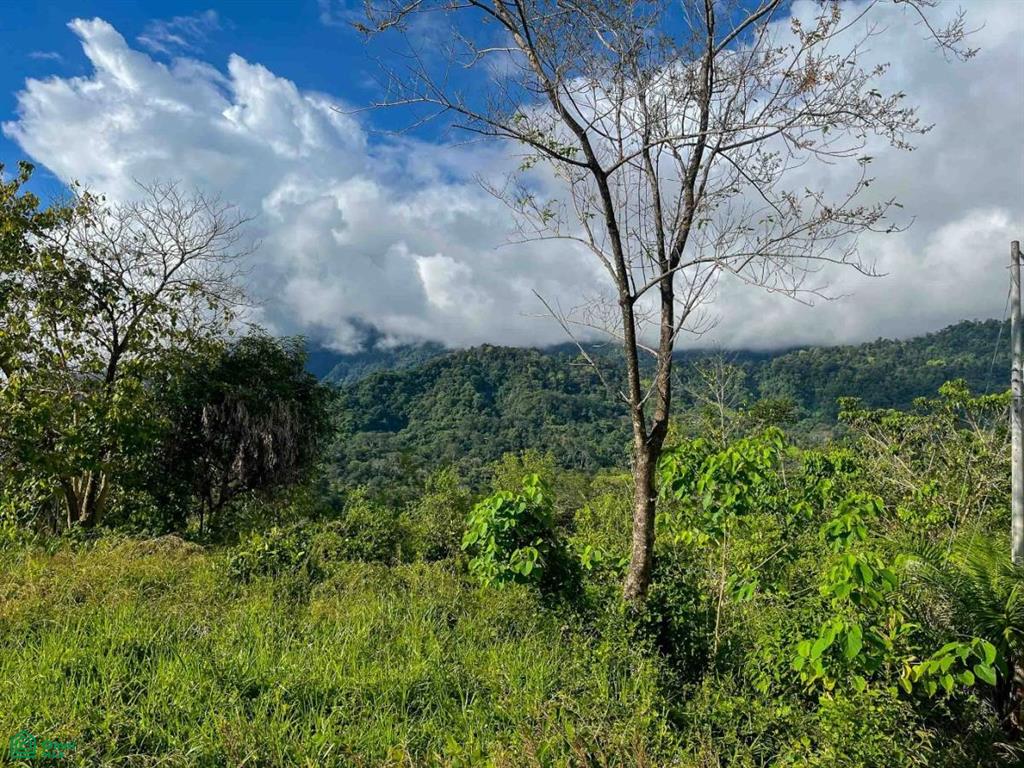 Flat Ocean View Lot , Puerto Cortés, Osa, Puntarenas