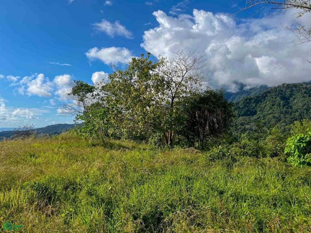 Flat Ocean View Lot , Puerto Cortés, Osa, Puntarenas
