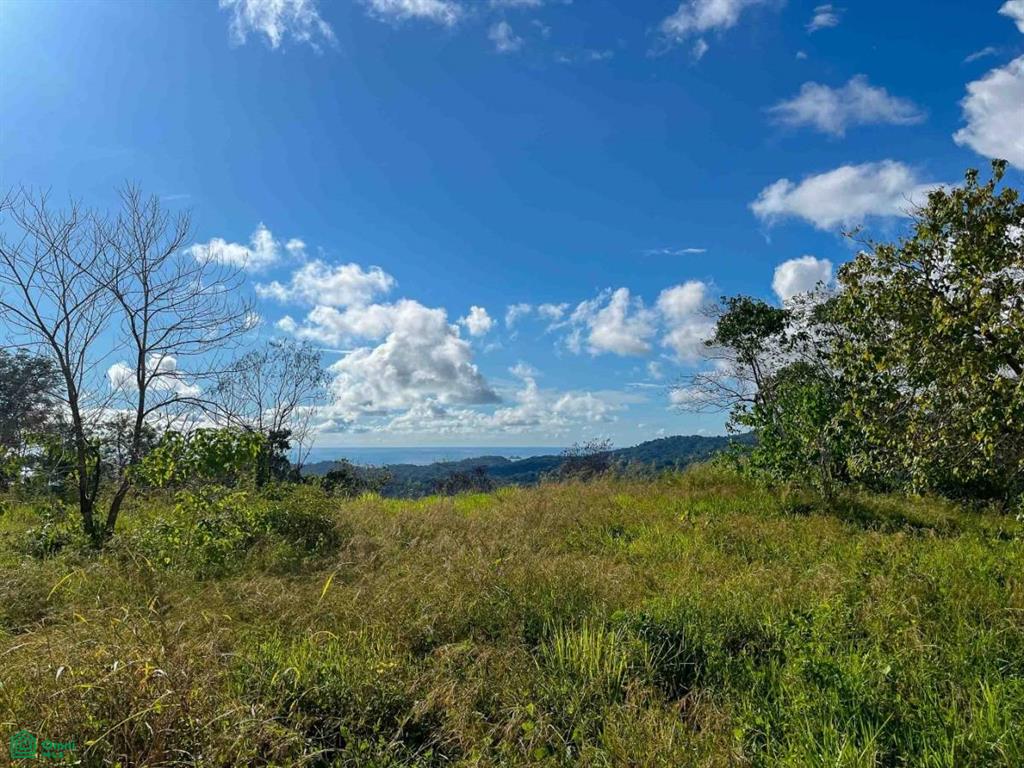 Flat Ocean View Lot , Puerto Cortés, Osa, Puntarenas