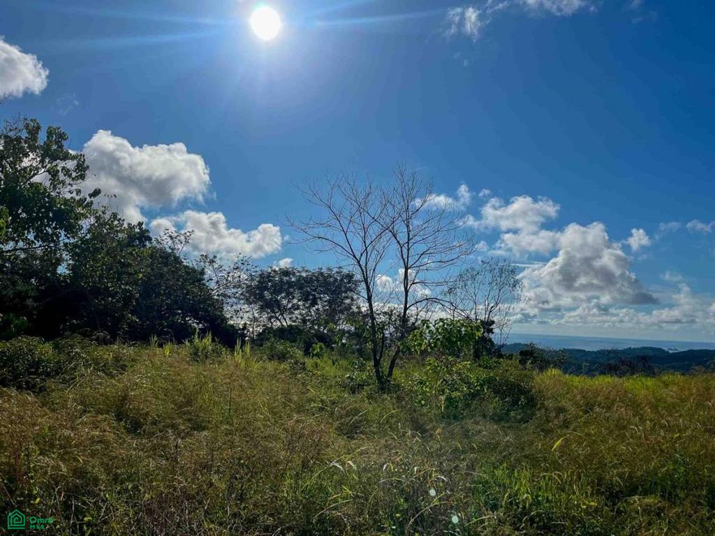 Flat Ocean View Lot , Puerto Cortés, Osa, Puntarenas