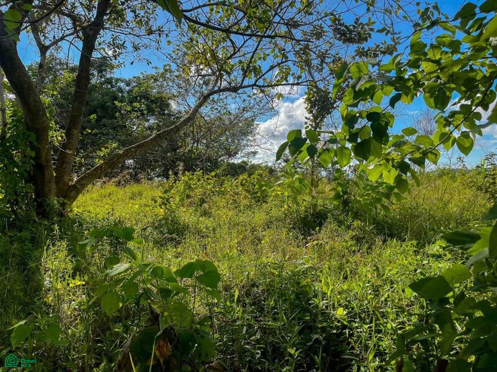 Flat Ocean View Lot , Puerto Cortés, Osa, Puntarenas
