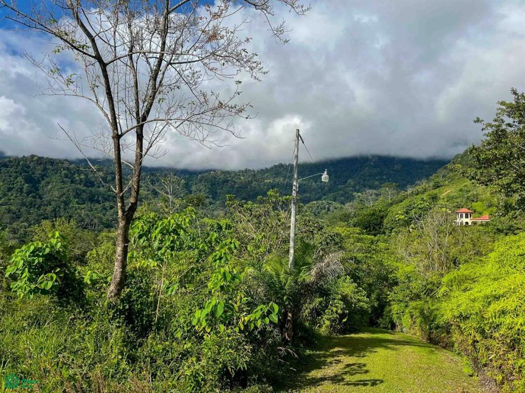 Flat Ocean View Lot , Puerto Cortés, Osa, Puntarenas