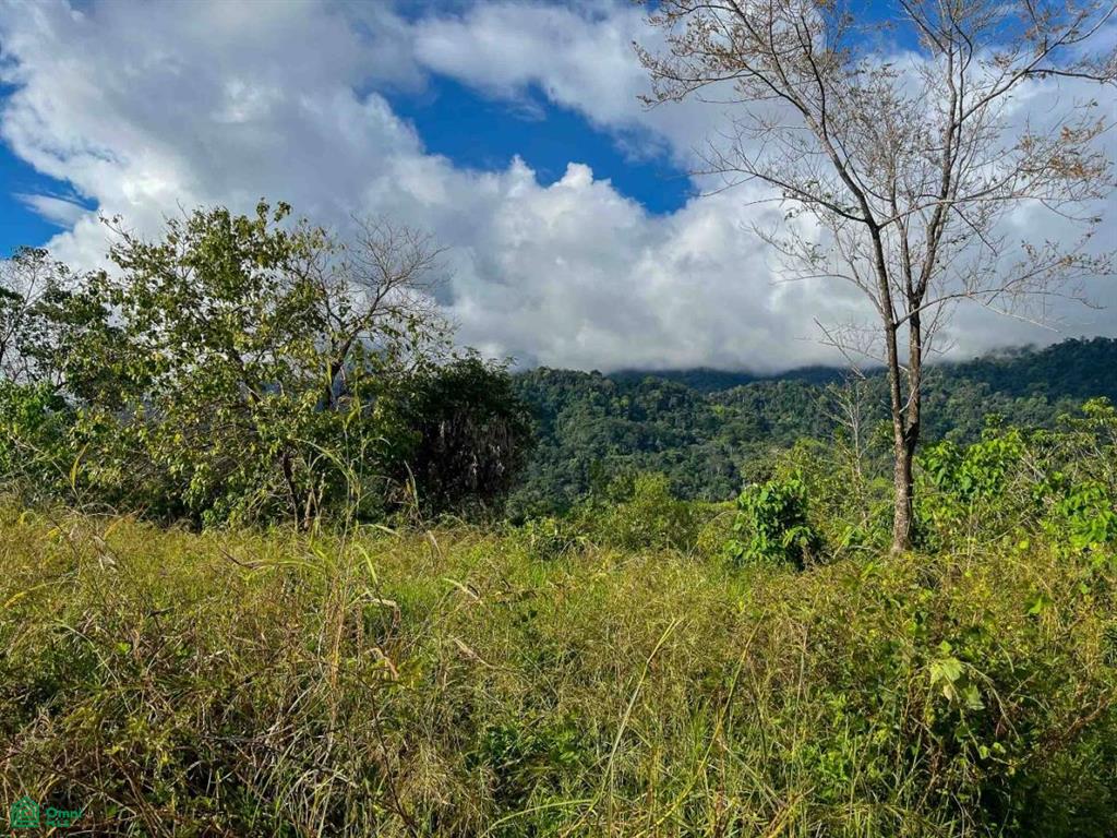 Flat Ocean View Lot , Puerto Cortés, Osa, Puntarenas