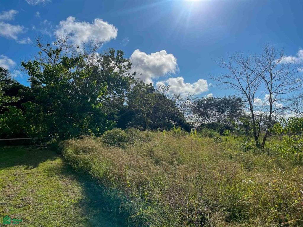 Flat Ocean View Lot , Puerto Cortés, Osa, Puntarenas