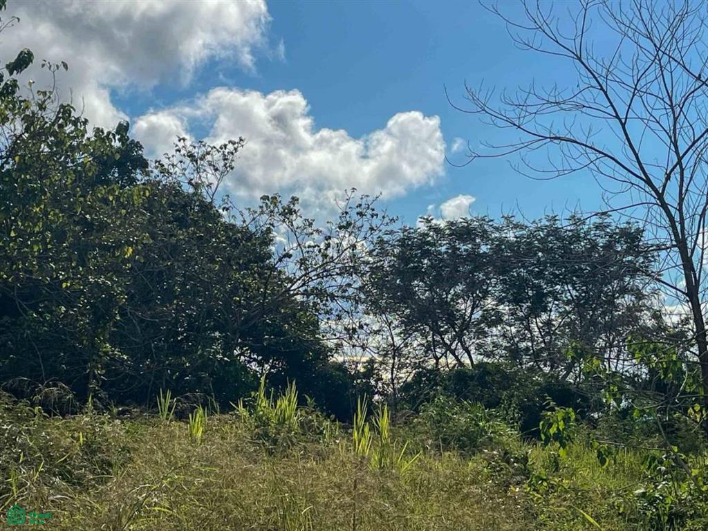 Flat Ocean View Lot , Puerto Cortés, Osa, Puntarenas
