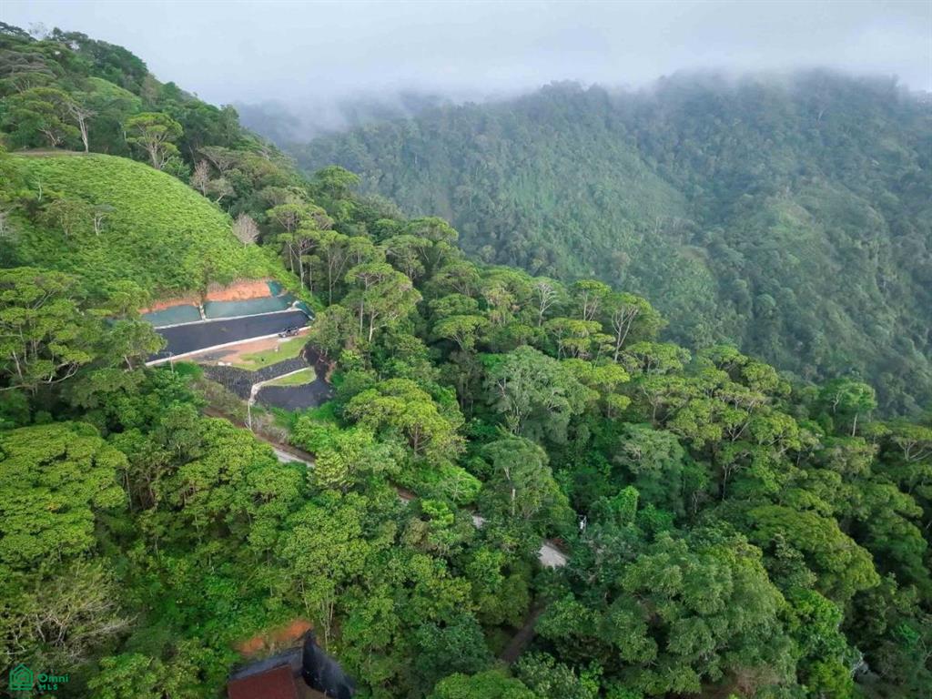 Luxury Ocean View Property in Costa Verde Estates , Bahía Ballena, Osa, Puntarenas