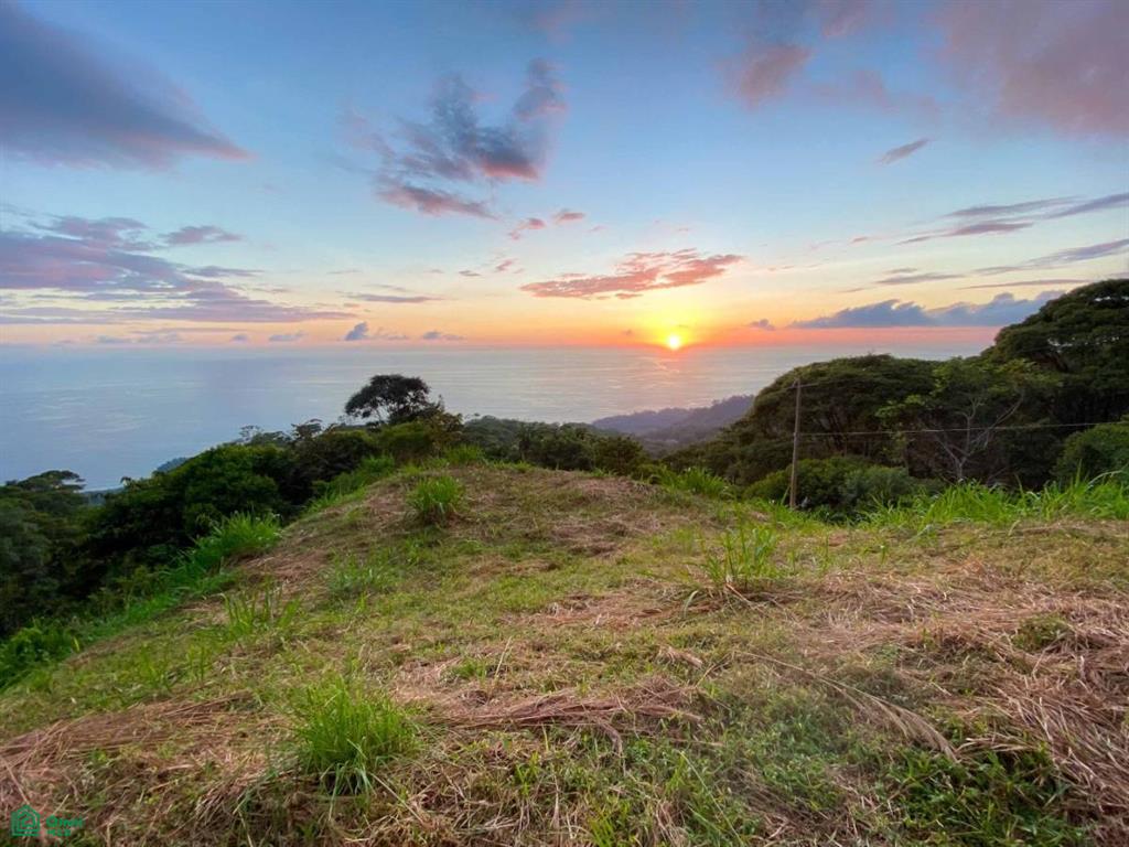 Luxury Ocean View Property in Costa Verde Estates , Bahía Ballena, Osa, Puntarenas