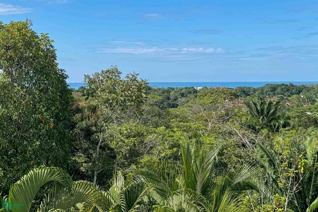 Ocean View Estate Near the Beach , Playa Esterillos, Puntarenas