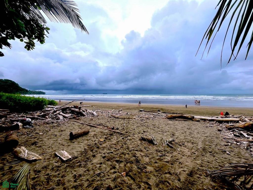 Titled Land Steps from the Beach , Bahía Ballena, Osa, Puntarenas