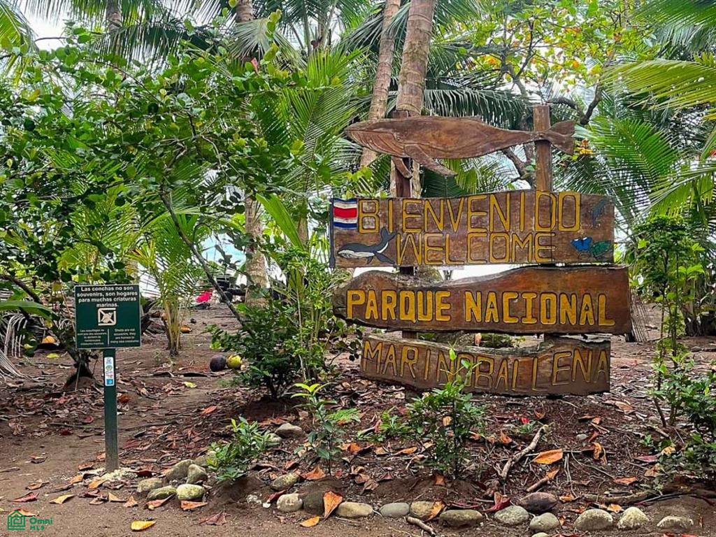 Titled Land Steps from the Beach , Bahía Ballena, Osa, Puntarenas