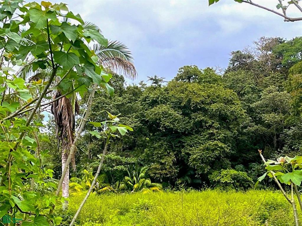 Titled Land Steps from the Beach , Bahía Ballena, Osa, Puntarenas