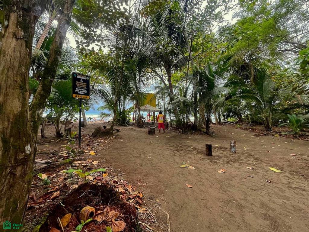 Titled Land Steps from the Beach , Bahía Ballena, Osa, Puntarenas