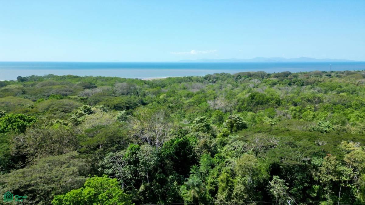 Gated Community Unit 34 Central Pacific Ocean View Lot, Jacó, Garabito, Puntarenas