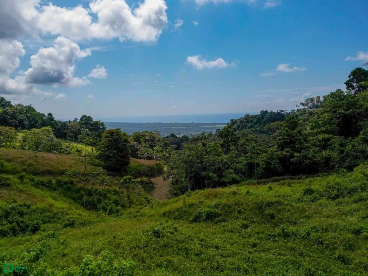 Portalon, Manuel Antonio Ocean View Parcels, Quepos, Quepos, Puntarenas