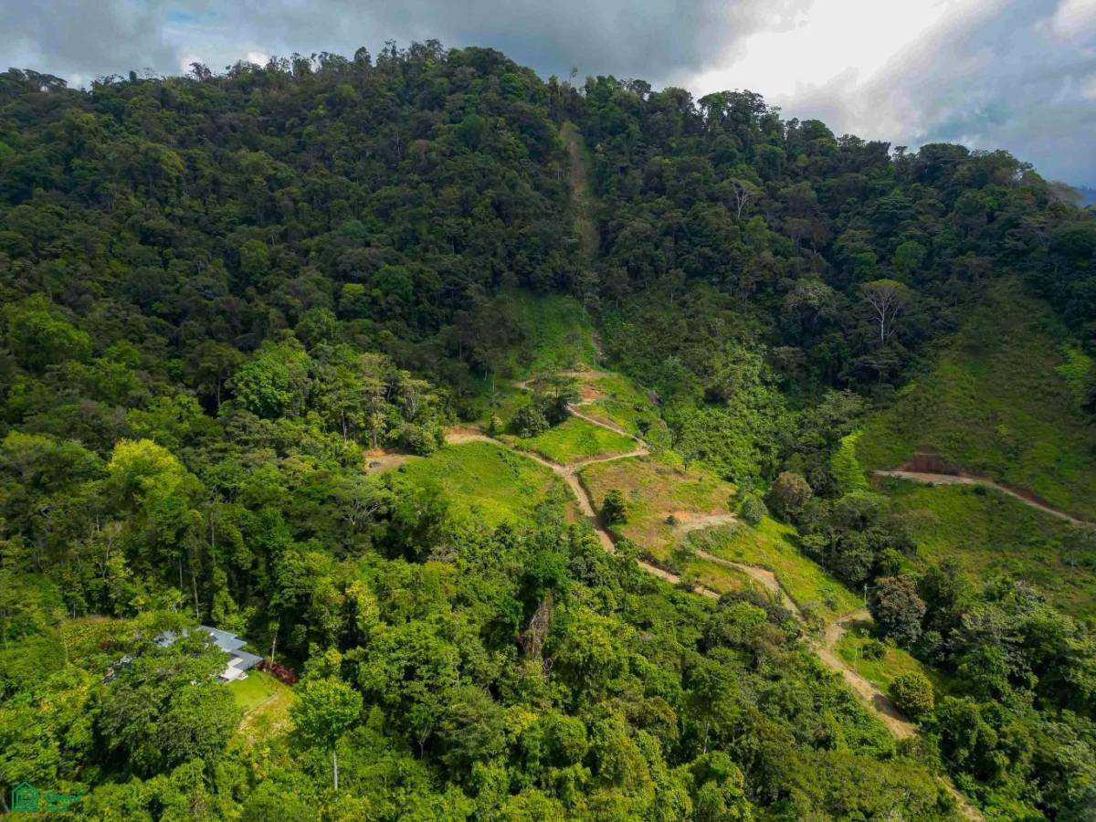 Portalon, Manuel Antonio Ocean View Parcels, Quepos, Quepos, Puntarenas