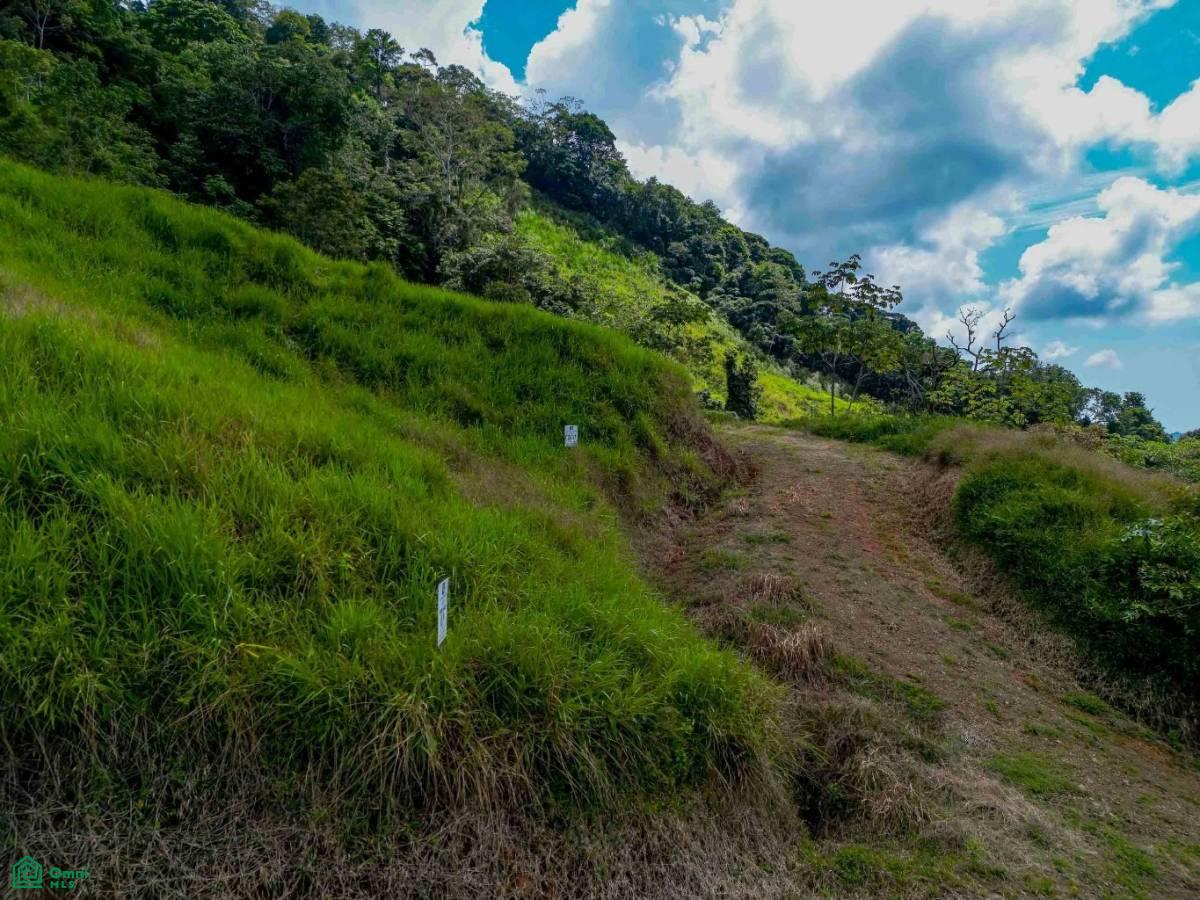 Portalon, Manuel Antonio Ocean View Parcels, Quepos, Quepos, Puntarenas