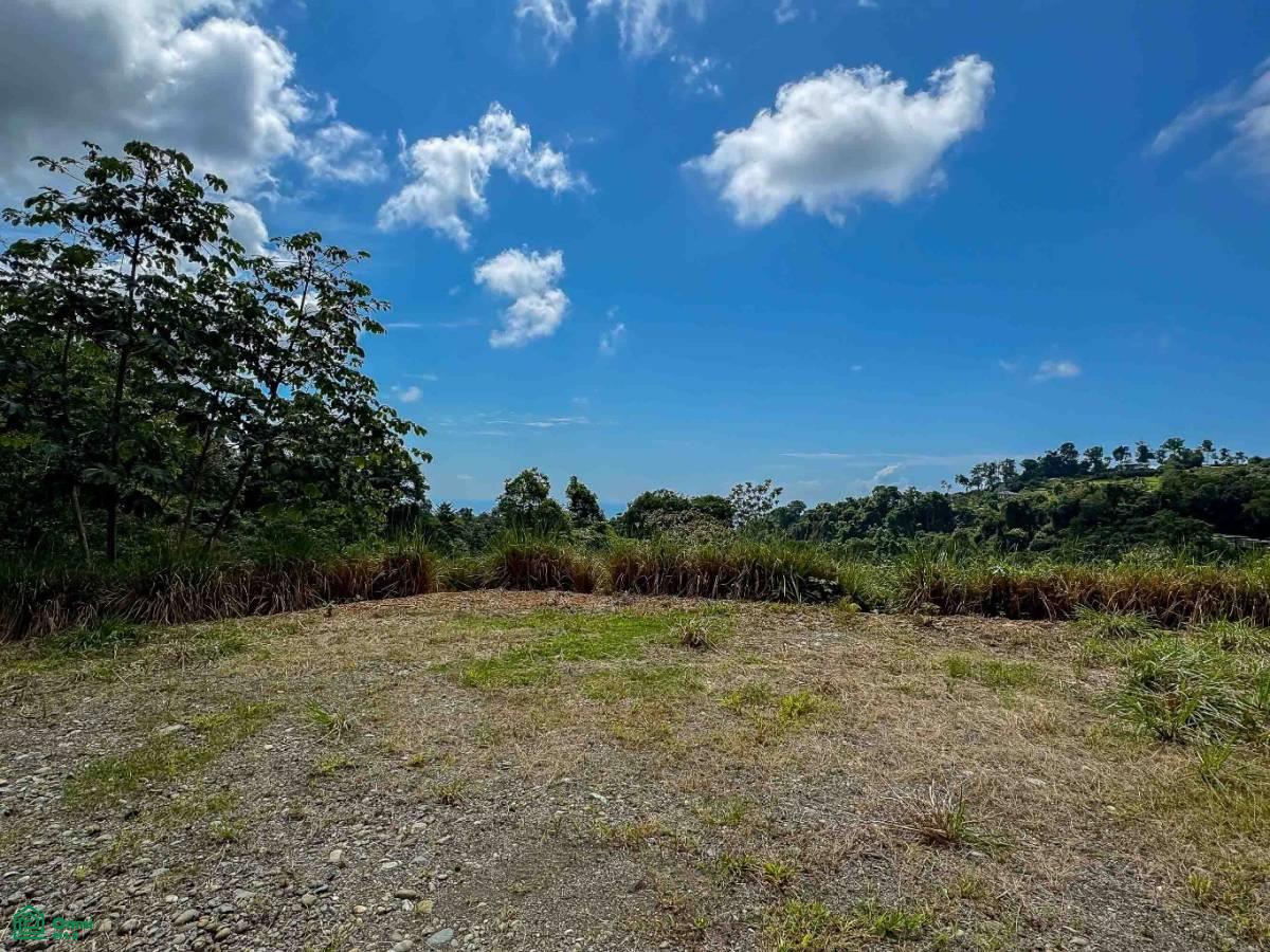 Portalon, Manuel Antonio Ocean View Parcels, Quepos, Quepos, Puntarenas