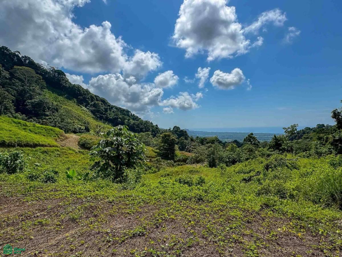 Portalon, Manuel Antonio Ocean View Parcels, Quepos, Quepos, Puntarenas