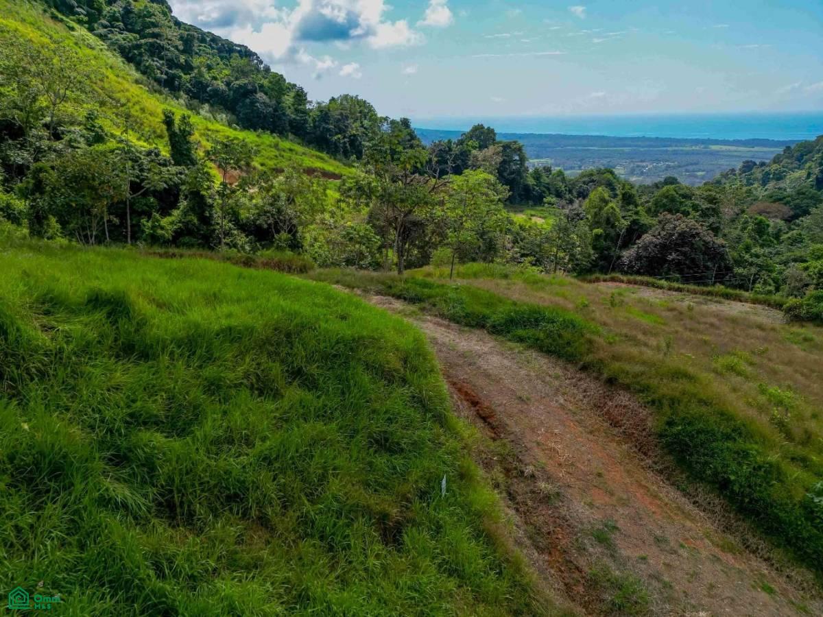 Portalon, Manuel Antonio Ocean View Parcels, Quepos, Quepos, Puntarenas