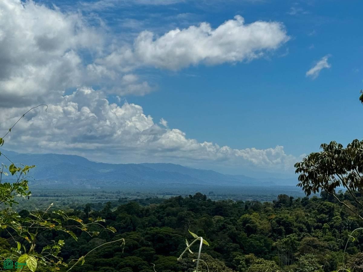 El Salto, Manuel Antonio Panoramic View Estate El Salto, Quepos, Quepos, Puntarenas