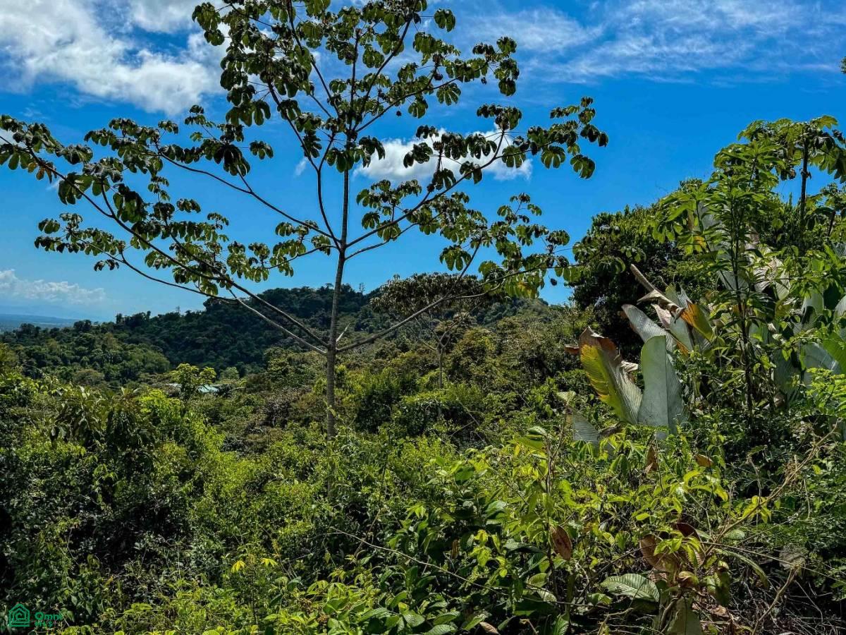 El Salto, Manuel Antonio Panoramic View Estate El Salto, Quepos, Quepos, Puntarenas