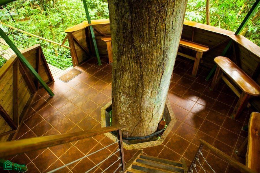 Finca Bellavista Osa, Costa Rica Incredible Turnkey Retreat Center and Sustainable community, Puerto Jiménez, Puntarenas