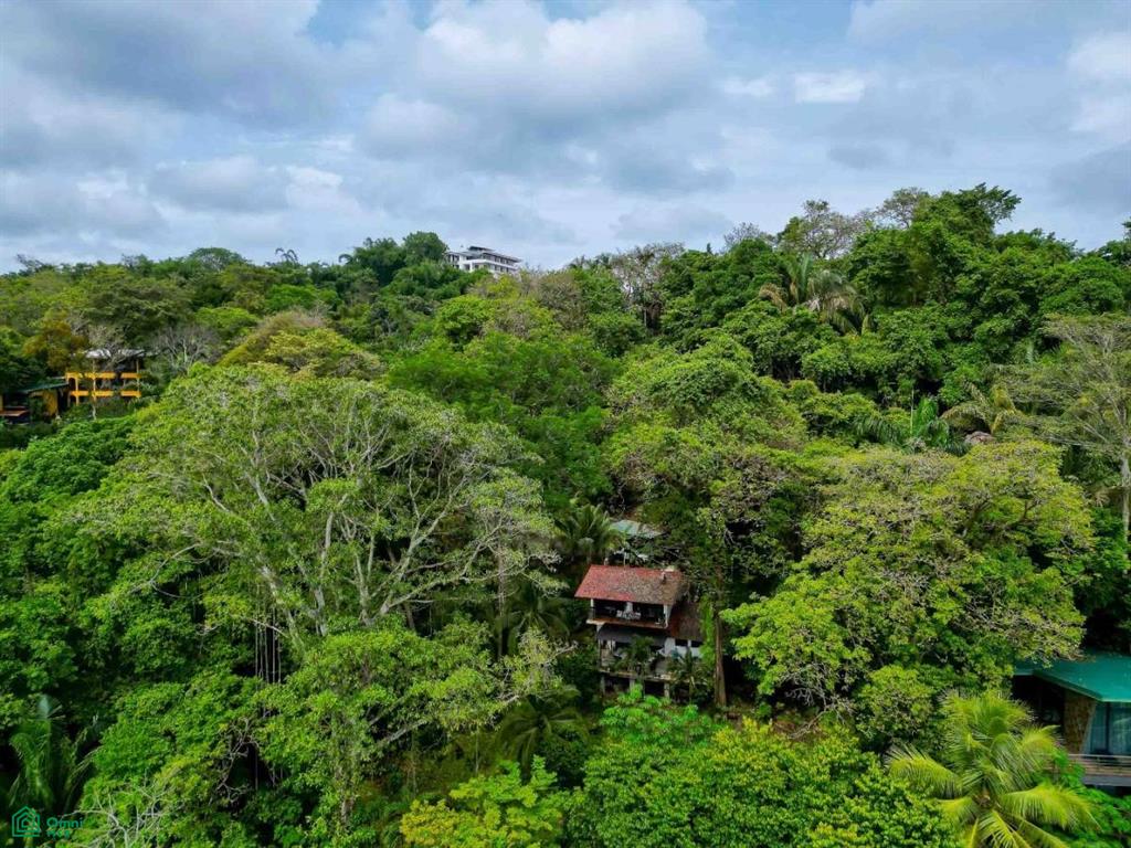 Ocean View Estate Property , Quepos, Quepos, Puntarenas