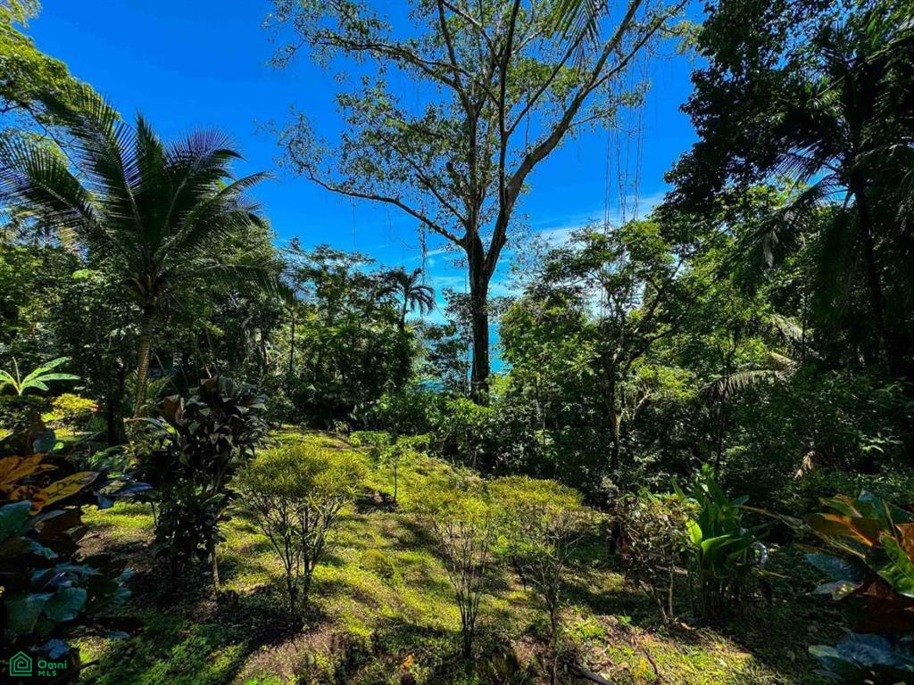 Ocean View Estate Property , Quepos, Quepos, Puntarenas