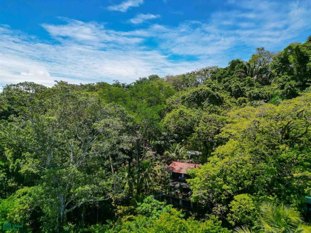Ocean View Estate Property , Quepos, Quepos, Puntarenas