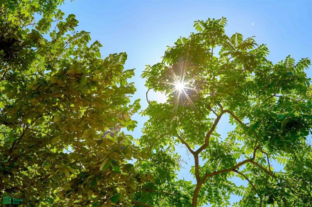 Elevated Lot in Boutique Gated Community , Tamarindo, Guanacaste