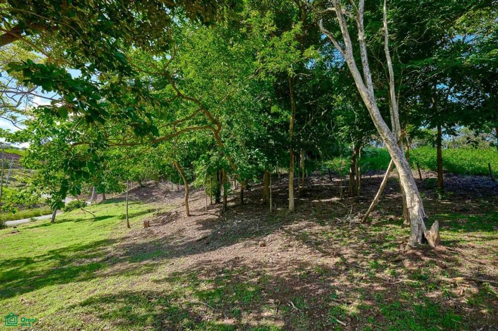 Elevated Lot in Boutique Gated Community , Tamarindo, Guanacaste
