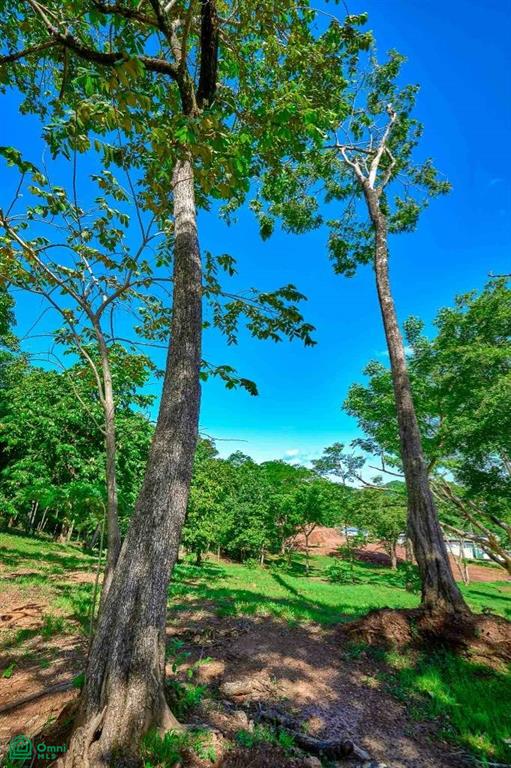 Elevated Lot in Boutique Gated Community , Tamarindo, Guanacaste