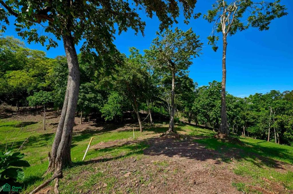 Elevated Lot in Boutique Gated Community , Tamarindo, Guanacaste