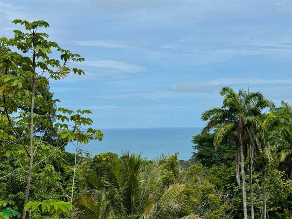 Ocean View Luxury Homesite , Bahía Ballena, Osa, Puntarenas