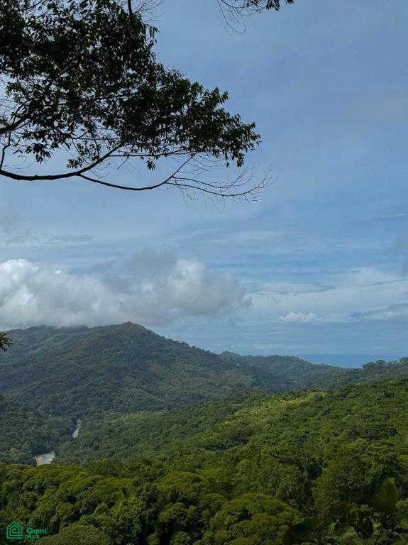 Ocean View Luxury Homesite , Bahía Ballena, Osa, Puntarenas