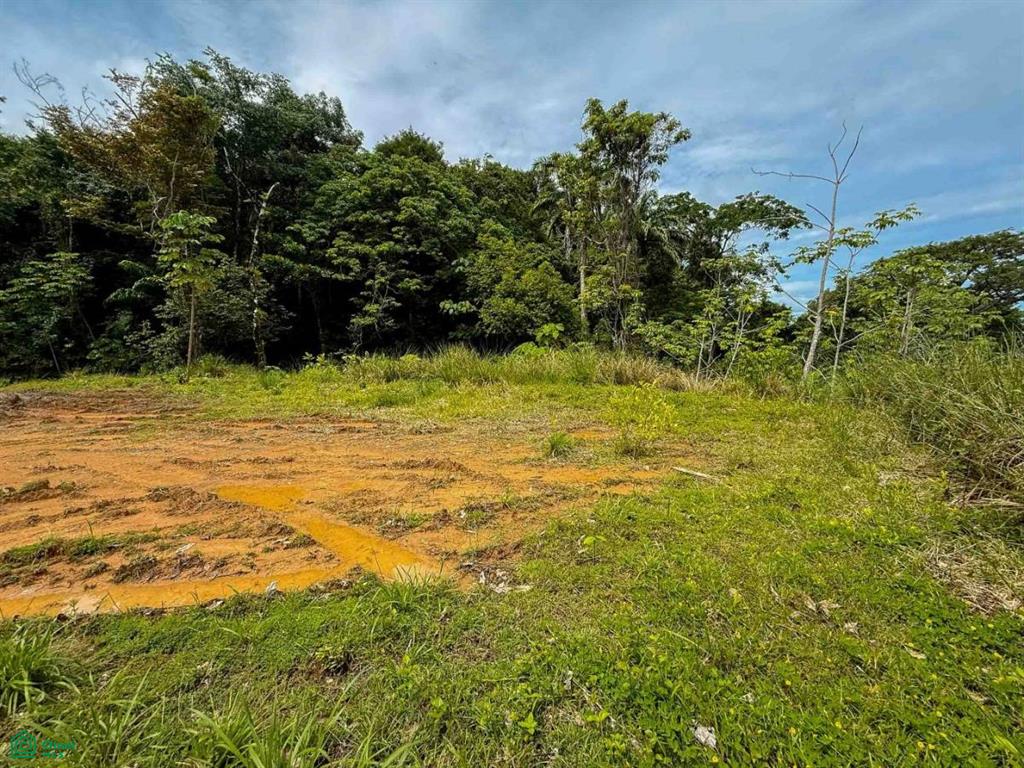 Ocean View Luxury Homesite , Bahía Ballena, Osa, Puntarenas